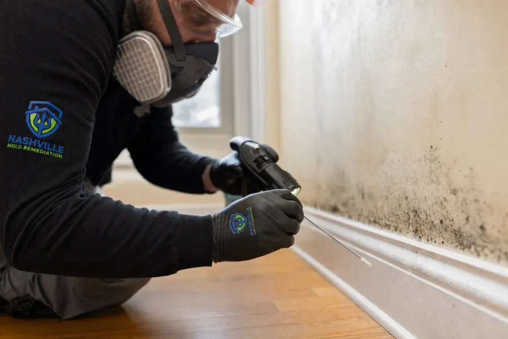 Nashville Mold Remediation - Residential 2